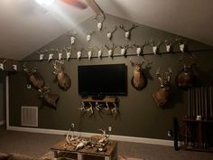 a living room with deer heads on the wall and a flat screen tv mounted to the wall