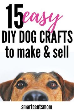 a dog's face with the words 15 easy diy dog crafts to make and sell