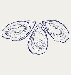 three open oysters sitting on top of each other in the middle of a drawing