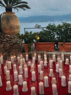 candles are lined up on a red table cloth near potted plants and water in the background