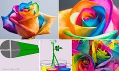 four different images of colorful flowers in glass vases with water and colored paper on them