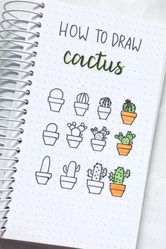 a spiral notebook with cactus drawings on the cover and how to draw cactuses in it