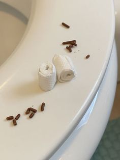 two rolls of toilet paper sitting on top of a white toilet seat next to a roll of toilet paper