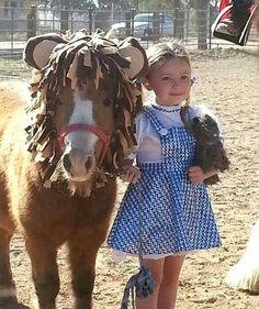 Mini Horse Halloween Costumes, Costume For Horses And Rider, Halloween Costumes With Horses, Halloween Costumes For Horses And Rider, Costumes For Horses, Pony Costumes, Mane Braids