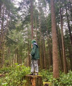 a man standing on top of a tree stump in the forest with trees around him