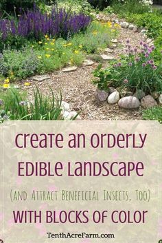 a garden with rocks and flowers in the background text reads create an orderly edible landscape and attract beneficial insects, 100 with blocks of color