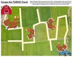 an aerial view of turkeys on farm land