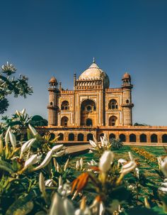 the tajwa mosque in india is surrounded by greenery and white flowers on a sunny day