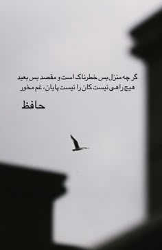 a bird flying in the sky with an arabic quote