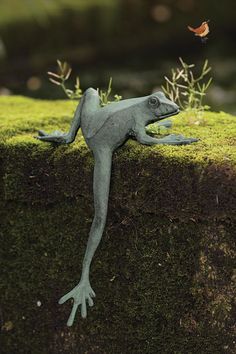 a lizard is sitting on top of a mossy surface with a butterfly in the background