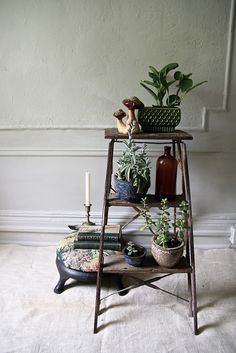 a shelf with plants and candles on it in a room next to a white wall