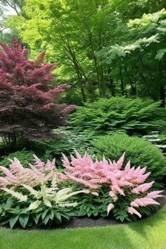 a lush green garden with pink and white flowers in the center, surrounded by trees