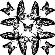 a bunch of butterflies that are flying in the air, vintage line drawing or engraving