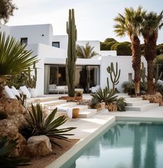 a pool surrounded by palm trees next to a white house with a large cactus in the foreground