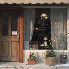 two potted plants sit outside the window of a storefront with curtains and windowsills