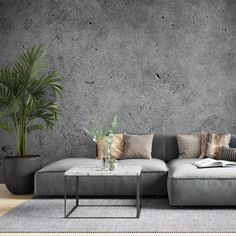 a living room with concrete walls and grey couches, potted plants and pillows