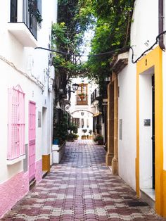 an alley way with white buildings and pink shutters on both sides, surrounded by greenery