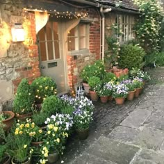 potted plants line the side of an old brick building with lights strung from it