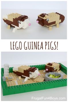 the lego guinea pigs are in their habitat