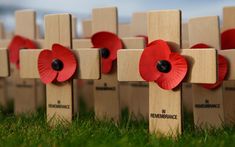 wooden crosses with red poppies on them and the words, this week at weca it's remembrance day sunday