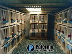 several wooden cages filled with birds inside of a building