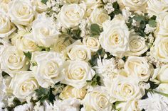 white roses and other flowers are arranged together