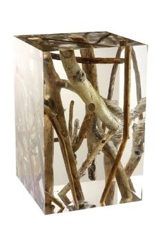 a glass box with some branches in it