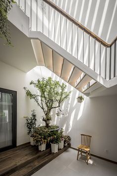 an indoor area with potted plants and a wooden chair under the stair railings