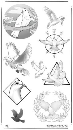 several different birds flying around each other in black and white, with the words tatooinimple com above them