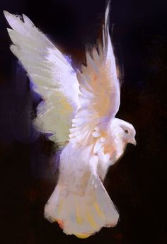 a white bird flying through the air with its wings spread