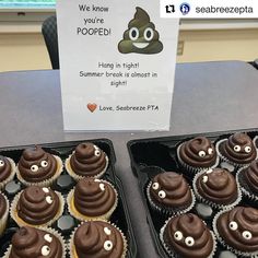 two trays of cupcakes with chocolate frosting and googly eyes on them