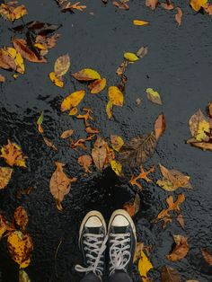 a person standing in the rain with their feet up on some leaves and looking down at them