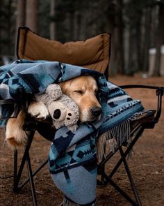 a dog laying in a chair with a teddy bear under a blanket on it's back