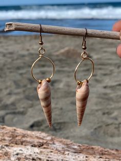 Natural handpicked shells set in gold plated wire with beads. Gold Shell Dangle Earrings, Gold Shell-shaped Hoop Earrings For Beach, Gold Wire Wrapped Hoop Earrings For Summer, Summer Gold Wire Wrapped Hoop Earrings, Gold Dangle Shell Earrings For Beach, Gold Dangle Shell Earrings For Summer, Gold Shell With Matching Earrings, Gold Metal Hoop Earrings For Beach, Gold Dangle Shell For Beach