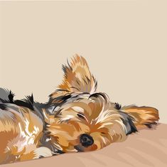 a small dog laying on top of a bed next to a wall with a light colored background