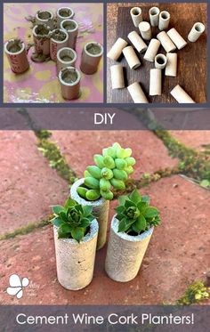 the instructions for how to make cement wine cork planters