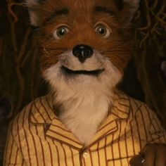 the fox is dressed in a shirt and has his eyes wide open to look like he's smiling