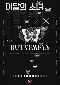 a black poster with butterflies on it and the words butterfly written in korean characters below