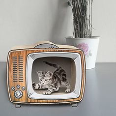 a cat is laying on the floor in front of an old fashioned tv with flowers