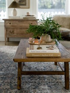 a coffee table with two books on it and a potted plant sitting on top