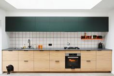 a cat is standing in the kitchen looking at the sink and stove that's built into the wall