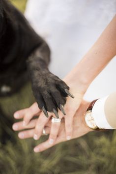 a close up of a person holding a dog's hand