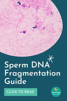 More advanced testing — like sperm DNA fragmentation analysis — can be used to identify deeper issues that may be affecting male fertility. Fertility Supplements, Fertility Testing, Reactive Oxygen Species, Classy Business Outfits, Health Signs, In Vitro Fertilization