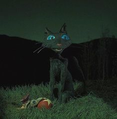 a black cat with blue eyes sitting in the grass next to an orange and white ball