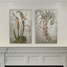 two paintings on the wall above a fireplace