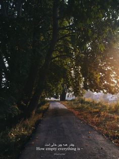 the sun shines through some trees on an empty road