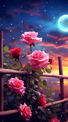 some pink roses on a wooden fence with the moon in the background