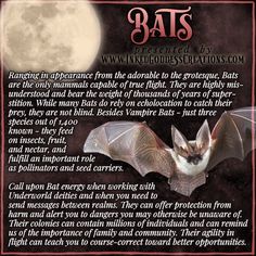 A big-eared bat flutters in the night sky in front of a full moon. The text outlines some trivia about bats, their symbolism, and ways you can use their energy in your magickal practice. Presented by Inked Goddess Creations. Animal Meanings, Bat Species, Animal Spirit Guide, Spirit Communication, Witchcraft Spell Books