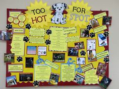 a bulletin board with pictures and words on it that says, too hot for you