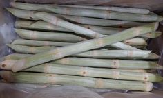 several bundles of green bamboo sticks wrapped in plastic